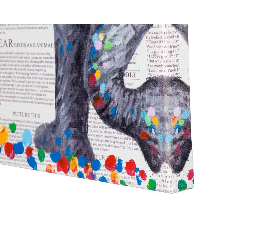 Obraz Elefant 100x70
