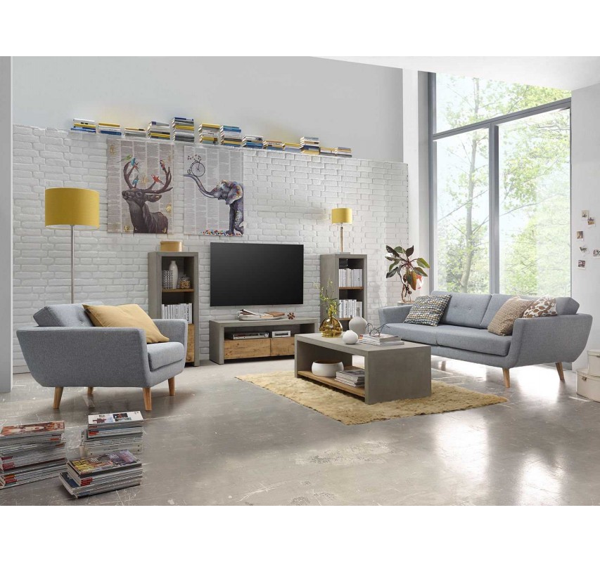 Obraz Elefant 100x70